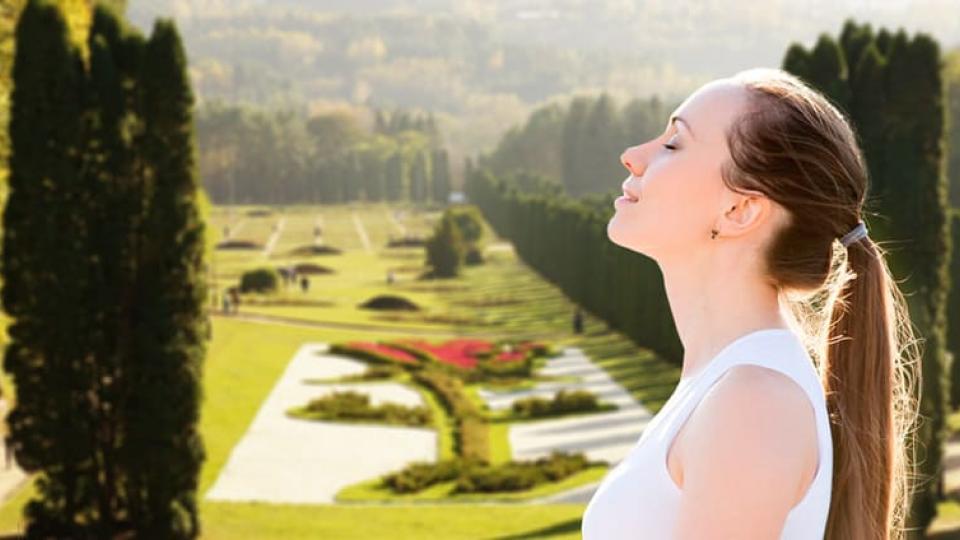 Программа «Легкое дыхание»