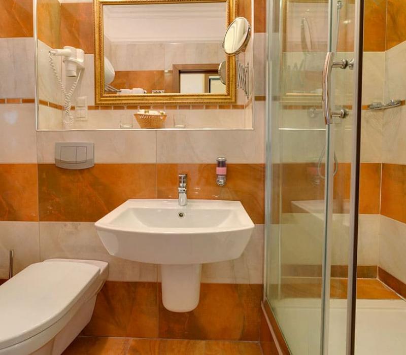 2 местный 1 комнатный Стандарт Твин, Центральный корпус. Санаторий Дубовая роща. Железноводск