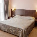 Интерьер 2 местного 1 комнатного Студия в санатории Плаза СПА. Железноводск