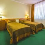 2 местный 1 комнатный Стандарт в коттедже «Любовь». Санаторий Вилла Арнест. Кисловодск